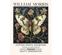 SSLDP LFHLI William Morris Affiches Animal Papillon Plante Toile Peinture William Morris Vintage Art Mural Et Impressions Home Decor Photo 40x60cmx1 sans Cadre