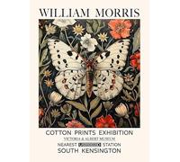 SSLDP LFHLI William Morris Affiches Animal Papillon Plante Toile Peinture William Morris Vintage Art Mural Et Impressions Home Decor Photo 40x60cmx1 sans Cadre