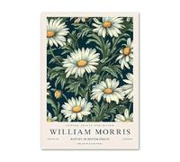 SSLDP LFHLI William Morris Esthétique Affiches Fleur Abstrait Art Mural William Morris Peinture sur Toile Et Impressions Décor Intérieur Photo 50x70cmx1 sans Cadre