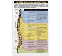 SSOPTMCB Backbone Anatomy Chart, Scientific Illustration of Vertebral Column, Neurology Study Reference Wall Decor (Framed,08x12inch(20x30cm))