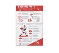SSOPTMCB Baseball Facts Canvas Print, Sports Fan Wall-Art for Man Cave, Game Room, Office Decor(Framed,12x18inch(30x45cm))