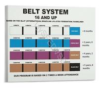 SSOPTMCB BJJ Belt Order Color-Coded Rank Progression Guide Brazilian Jiu-Jitsu Reference Poster Grappling Wall-Art for Dojo Decor(Framed,12x18inch(30x45cm))