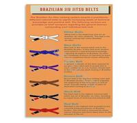 SSOPTMCB BJJ Belt Rank Progression Guide Brazilian Jiu-Jitsu Reference Poster Educational Martial Arts Wall-Art for Dojo Home(Unframed,12x18inch(30x45cm))
