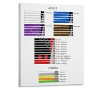 SSOPTMCB BJJ Belt Rank Progression Guide Educational Martial Arts Poster Grappling Reference for Men Home Training Gym Wall-Art(Unframed,08x12inch(20x30cm))