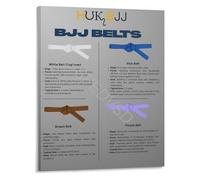 SSOPTMCB Brazilian Jiu-Jitsu BJJ Belt Rank Order Progression Infographic Educational Reference Poster Martial Arts Training Wall-Art(Unframed,08x12inch(20x30cm))