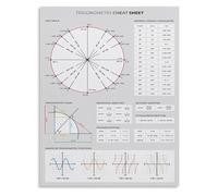 SSOPTMCB Calculus Prep Poster Trigonometry Unit Circle Graphs and Identities Chart Educational Math Print for Test Review(Framed,08x12inch(20x30cm))