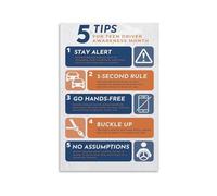 SSOPTMCB Car Tips Guide - Essential Driving Habits for Accident Prevention and Vehicle Care(Unframed,12x18inch(30x45cm))