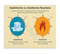 SSOPTMCB Changes in Reactions Poster Endothermic Exothermic Canvas Wall-Art Science Decor for Classroom Office and Learning Center(Framed,08x12inch(20x30cm))