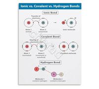 SSOPTMCB Chemistry and Biology Bonds Poster Covalent Hydrogen Comparison Educational Wall-Art for Study(Framed,12x18inch(30x45cm))
