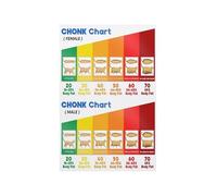 SSOPTMCB Chonky Cat Chart Poster Funny Body Condition Guide Educational Wall-Art for Cat Lovers Gift Home Veterinary Decor(Unframed,16x24inch(40x60cm))