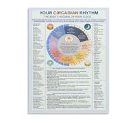 SSOPTMCB Circadian Rhythm Chart Body Clock Sleep Cycle Guide Educational Canvas Wall-Art Poster for Bedroom Office(Framed,12x18inch(30x45cm))