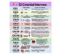 SSOPTMCB Color-Coded Cranial Nerves Chart Poster - Visual Learning Tool for Neurology & Anatomy, Vibrant Educational Decor for School or Home Office(Unframed,16x24inch(40x60cm))