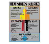 SSOPTMCB Complete Heat Illnesses Educational Guide Poster Infographic Symptoms Prevention First Aid Canvas Wall-Art for Training Classroom(Framed,12x18inch(30x45cm))