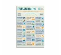 SSOPTMCB Declaration of Human Rights Full Text Poster Historical Document Print for Classroom Office Social Justice Wall-Art(Unframed,16x24inch(40x60cm))