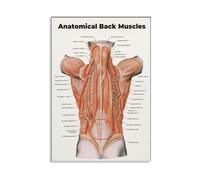 SSOPTMCB Deep Back Muscles Anatomy Chart Poster Canvas Wall-Art Educational Tool Aesthetic Decor for Clinic Yoga Studio(Unframed,12X18inch(30X45cm))