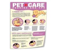 SSOPTMCB Dog CPR and First Aid Poster Emergency Guide for Choking and Rescue Breaths Quick Reference Chart for Pet Owners(Framed,08x12inch(20x30cm))