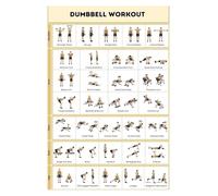 SSOPTMCB Dumbbell Only Workout Guide - No Equipment Exercise Poster Chart for Home Gym, Full Body Fitness Training Routine(Unframed,16x24inch(40x60cm))