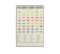 SSOPTMCB Educational Shrimp Poster Neocaridina Varieties Freshwater Aquarium Shrimp Types Chart Canvas Wall-Art for Aquarium Hobbyists Classroom Lounge Decor(Framed,16X24inch(40X60cm))