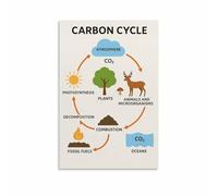 SSOPTMCB Environmental Education Poster - The Carbon Cycle Chart, Climate & Ecology Wall-Art for Classroom, Homeschool, Eco Friendly Home Decor (Unframed,16x24inch(40x60cm))
