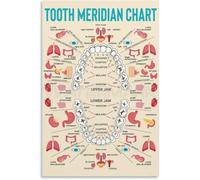 SSOPTMCB Holistic Health Poster: Meridian Tooth Chart - Traditional Chinese Medicine Reference for Dental-Organ Links, Educational Wall-Art(Framed,08x12inch(20x30cm))
