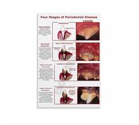 SSOPTMCB Keeping Your Dog's Smile Healthy - Pet Care Infographic Poster - Educational & Heartwarming Wall Decor for Dog Owners(Framed,08x12inch(20x30cm))