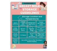 SSOPTMCB Lactation Education Storing Expressed Breast Milk Guide Poster Wall-Art Canvas for Feeding Journey Nursery Decor(Unframed,16x24inch(40x60cm))