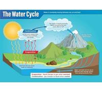 SSOPTMCB Middle School Science The Water Cycle, STEM Educational Chart for Classroom Decor, Comprehensive Hydrologic Cycle Diagram for High School Earth Science(Framed,08x12inch(20x30cm))