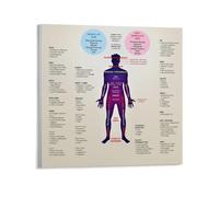 SSOPTMCB Mind Body Connection Art Abstract Flow Chart Canvas Wall-Art for Yoga Studio Room Wellness Decor(Framed,08x12inch(20x30cm))