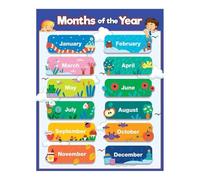SSOPTMCB Months of the Year Wall Chart Educational Poster for Classroom Preschool Kindergarten Homeschool Seasons Learning Tool(Unframed,16x24inch(40x60cm))
