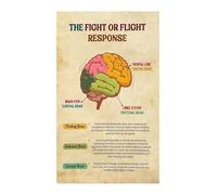 SSOPTMCB Neurobiology of Trauma Poster - Brain Chart Explaining Fight, Flight, Freeze, Fawn Responses for Therapists, Counselors & Students(Unframed,08x12inch(20x30cm))