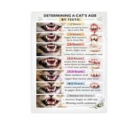 SSOPTMCB Pet Care Education Poster Feline Age Determination By Teeth Chart Veterinary Wall-Art Canvas For Clinic Office(Framed,12x18inch(30x45cm))