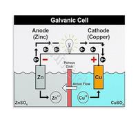 SSOPTMCB Science Reference Poster Galvanic Cell Operation and Voltage Electrochemistry Chart for University Study Room Laboratory(Unframed,16x24inch(40x60cm))