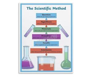 SSOPTMCB Scientific Method Flow Chart Poster Science Process Skills Canvas Wall-Art for Office or Library(Unframed,16x24inch(40x60cm))