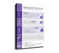 SSOPTMCB Seizure Poster Emergency Response Guide Visual Aid for Classroom Office Wall-Art(Unframed,08x12inch(20x30cm))
