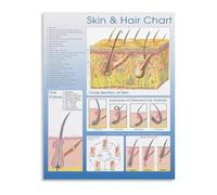 SSOPTMCB Skin Hair Analysis Chart Beauty Care Reference Poster Canvas Wall Decor for Salon Studio Client Consultation(Framed,08x12inch(20x30cm))