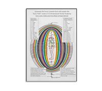 SSOPTMCB System & Human Anatomy Poster - Aura Field Chart on Canvas | Colorful Wall-Art for Yoga Studio, Acupuncture Clinic, Space & Home(Framed,16x24inch(40x60cm))
