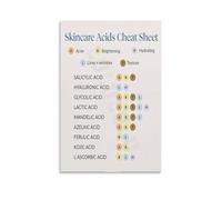 SSOPTMCB The Complete Skincare Acids Handbook Poster - AHA, BHA, Hyaluronic, L-Ascorbic Guide, Large Format Wall-Art for Makeup Room, Dorm & Gift for Estheticians(Unframed,08x12inch(20x30cm))