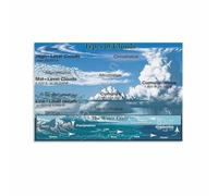 SSOPTMCB The Different Types of Clouds Chart Canvas Painting Poster Wall Decor for Living Room Bedroom Nursery Home School Science Decor(Framed,12x18inch(30x45cm))