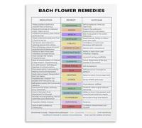 SSOPTMCB The Language of Flowers Poster Essence Chart Canvas Wall-Art for Room and Tranquil Reading Nook Decor(Unframed,16x24inch(40x60cm))