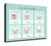 SSOPTMCB Tooth Anatomy and Health Poster Clinic Educational Chart for Office Wall Patient Info