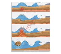 SSOPTMCB Tsunami Formation Causes Educational Poster Earth Science Disasters Oceanography Chart for Classroom(Framed,12x18inch(30x45cm))
