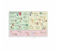 SSOPTMCB Wellness Diet Foods Chart Poster Guide to Healthy Eating and Nutrition Kitchen Wall-Art Decor(Unframed,08x12inch(20x30cm))