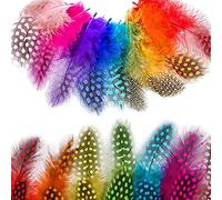 SSyang 200 Pièces Plumes Colorées, Plumes Loisirs Creatifs Plumes Colorées, Plumes Multicolores Déco, Pour Les Attrape-rêves DIY, Chapeaux, Boucles D'oreilles, Diadèmes, Halloween（Multicolore）