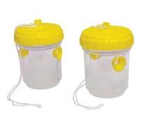 St Helens Home and Garden Piège à insectes volants non toxique - Lot de 2