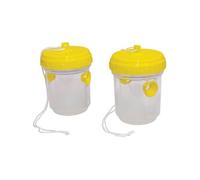 St Helens Home and Garden Piège à insectes volants non toxique - Lot de 2