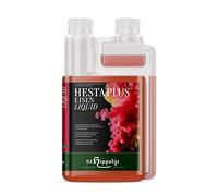 St.Hippolyt Hesta Plus Fer Liquide 1 L en cas de carence en fer
