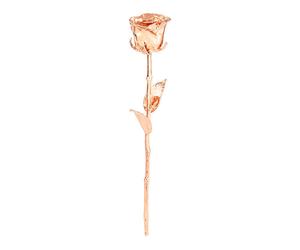 St. Leonhard Rose véritable dorée à l'or rose 18 carats