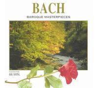 St.Petersburger Kammerorchest - Bach-Baroque Masterpieces