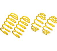 ST Ressorts de rabaissement pour BMW Série 3 E46 346L/C/R/K Cabrio 318Ci année 04/00-12/04