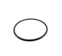 Sta-rite Joint couvercle préfiltre Série S-5P2R RU9229 pour Pompe de piscine